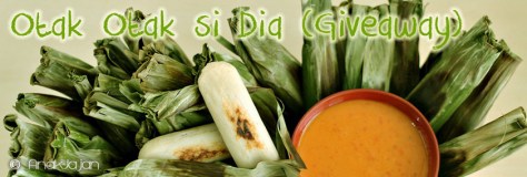 Giveaway for 5 winners