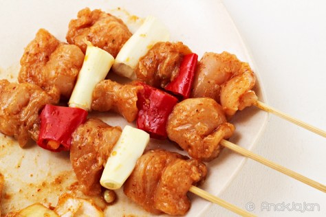 worldfoods grilled chicken skewer