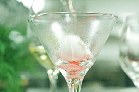 Intermediate Course - Lemon Sorbet