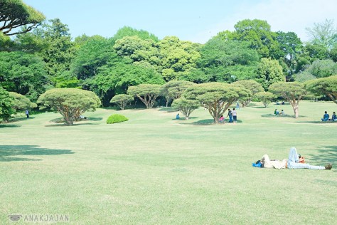 shinjuku gyoen