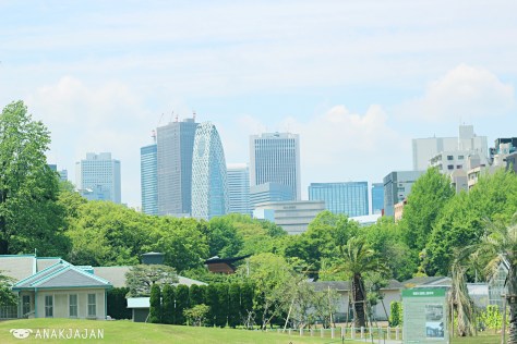 Shinjuku Gyoen