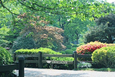 Japanese Garden area