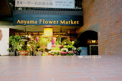 aoyama flower market