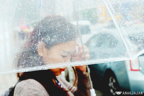 Photogenic transparent umbrella