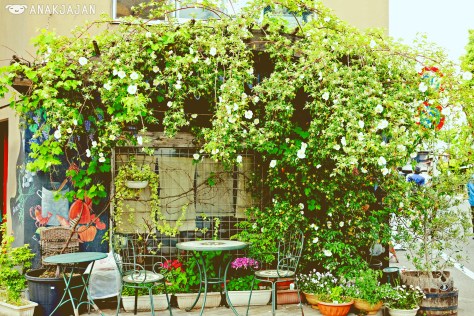 Flower everywhere during spring season