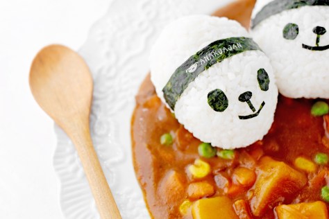 panda curry