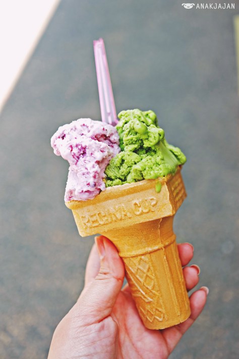 Green Tea + Blueberry Yoghurt Gelato JPY 350