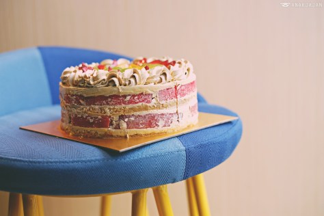Watermelon Cake