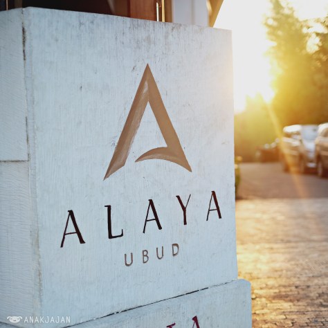 alaya