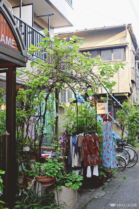 yanaka