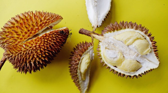 MEDAN Culinary Guide