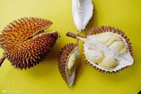 Ucok Durian