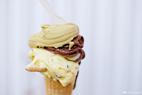 Pistachio + Dark Chocolate + Crema di Grom