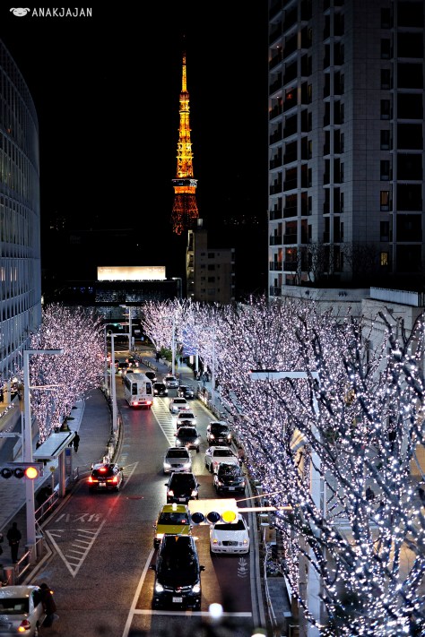 roppongi hills + tokyo tower
