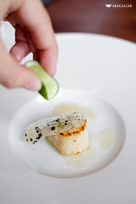 Seared Scallop
