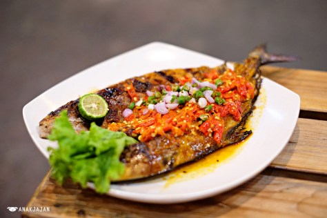 Grilled Ikan Aji-Aji - Dapur Pangkep 33