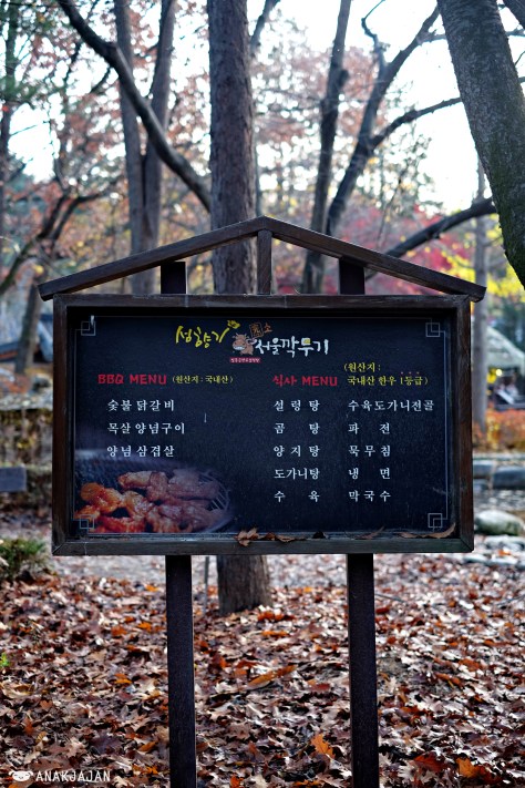 Seomhyanggi - Nami Island