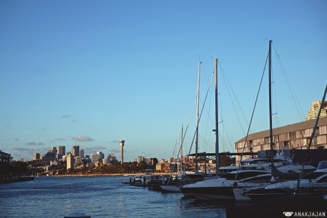 view from the restaurant