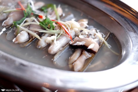 Kerang Tim Bawang Putih IDR 45k/ ounce