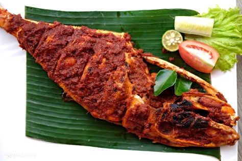 Ikan Sukang Bakar Saus Jali (Grilled LeatherJacket Fish)