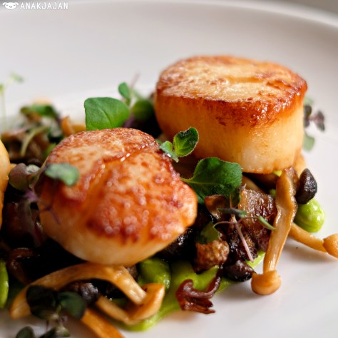 Pan Roasted Alaskan Scallops IDR 150k