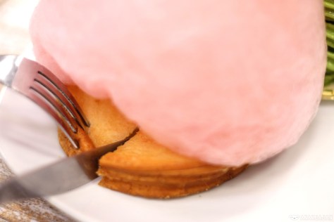 Toast Marshmallow IDR 14k + Cotton Candy IDR 4k + Soft Ice Cream IDR 16.5k