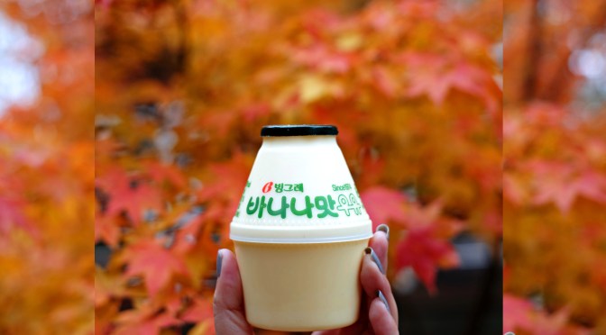 [KOREA] AUTUMN IN SEOUL – Places to Visit Travel Guide