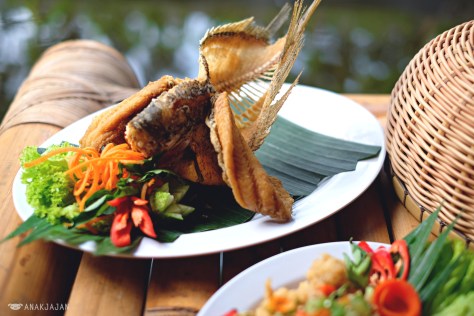 Gurame Goreng Terbang IDR 92.5K