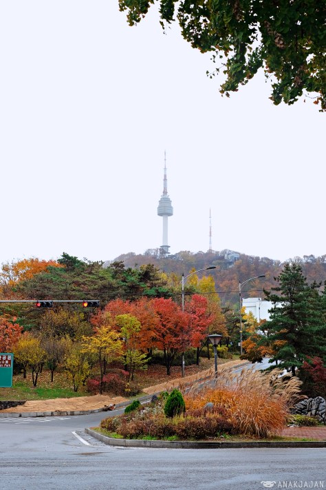 korea autumn