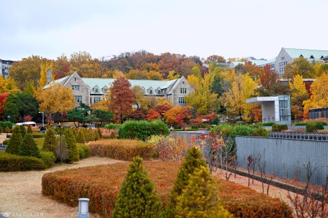 korea autumn