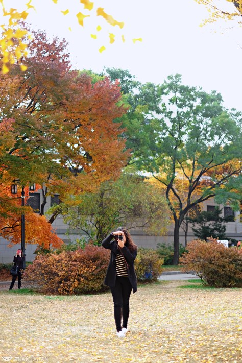korea autumn