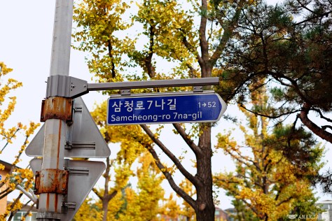 korea autumn