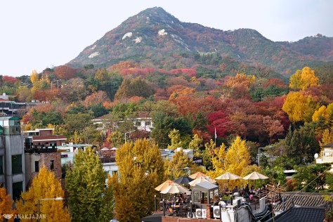 korea autumn