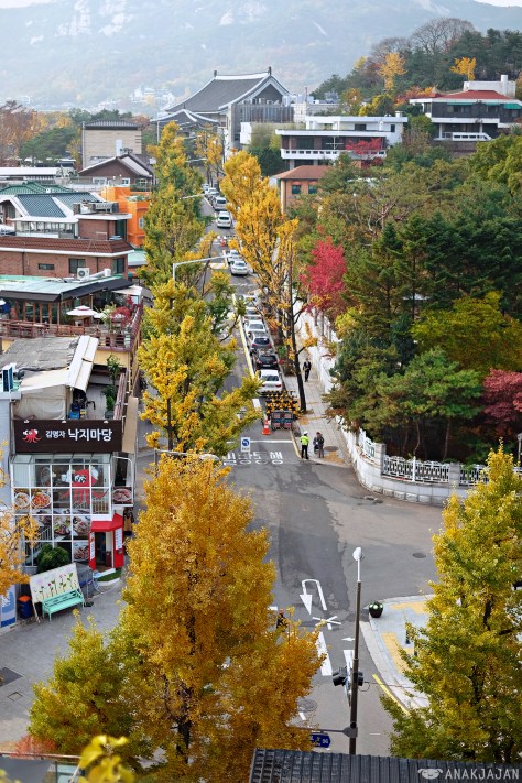 korea autumn