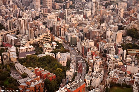 Tokyo City View