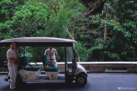 Four Seasons Resort Bali at Sayan