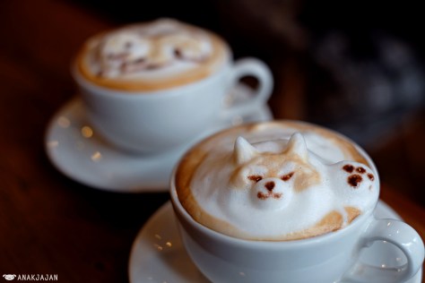 Cappuccino JPY 600 + 3D Latte Art JPY 400