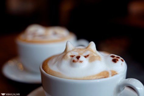 Cappuccino JPY 600 + 3D Latte Art JPY 400