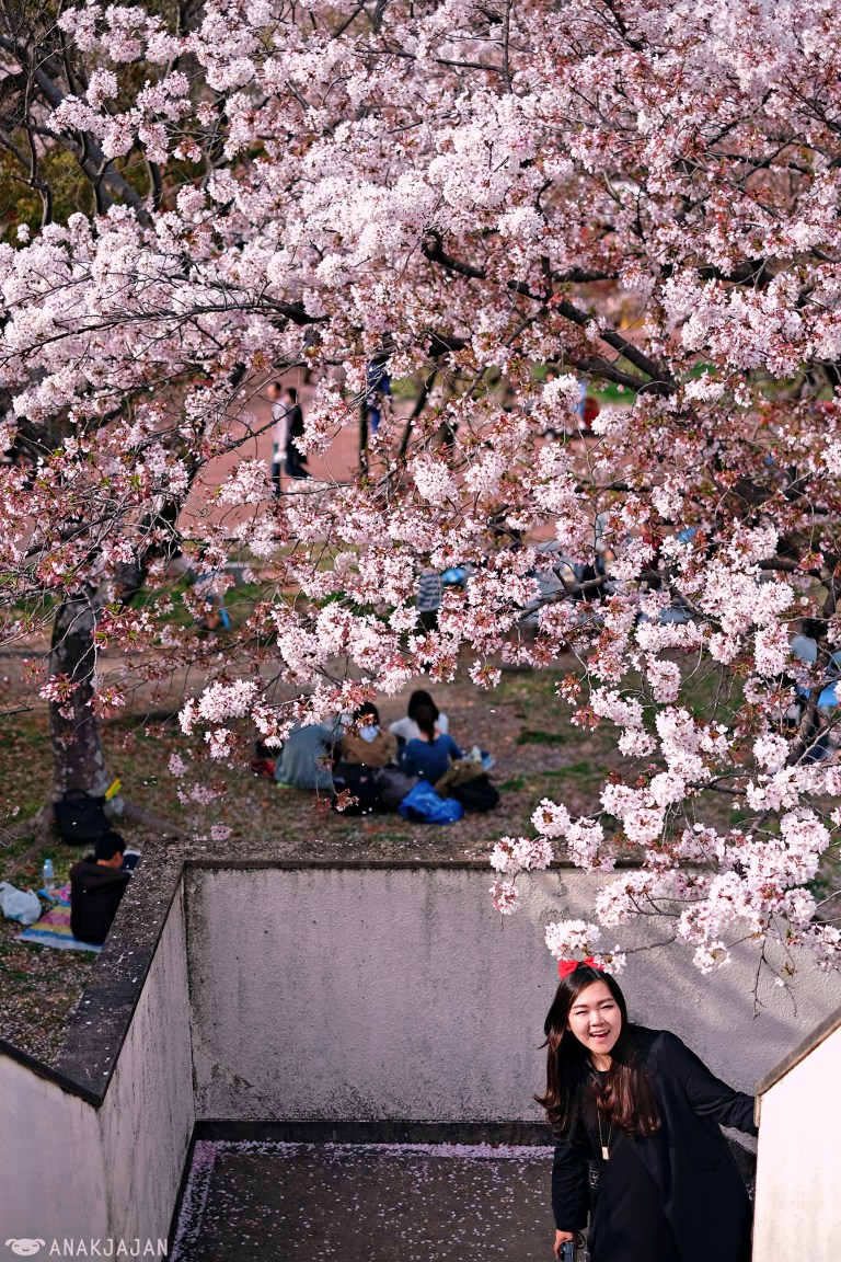 [JAPAN] OSAKA SPRING TRAVEL GUIDE for Best CHERRY BLOSSOM (Sakura ...