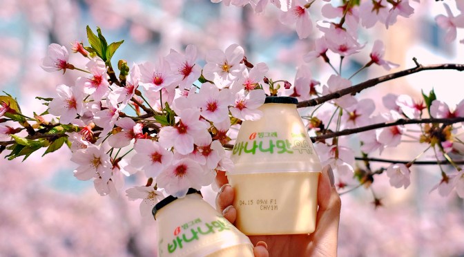 [KOREA] CHERRY BLOSSOMS IN SEOUL – Where is the BEST PLACES to see it