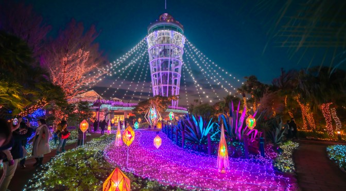 [JAPAN] Day Trip from TOKYO to HAKONE/ KAMAKURA & ENOSHIMA/ YOKOHAMA